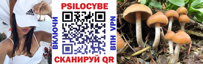 Галлюциногенные грибы ЛСД  blacksprut маркетплейс  Карабаново  закладки 